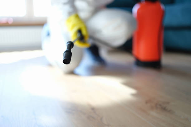Best Mold Remediation for Vacation Homes  in Lexington, NC