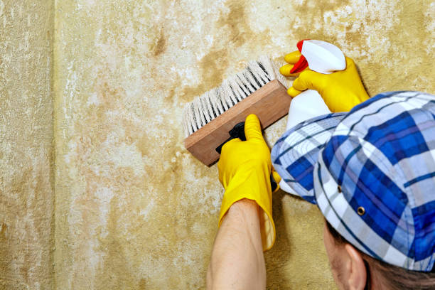 Best Dehumidification Services  in Lexington, NC