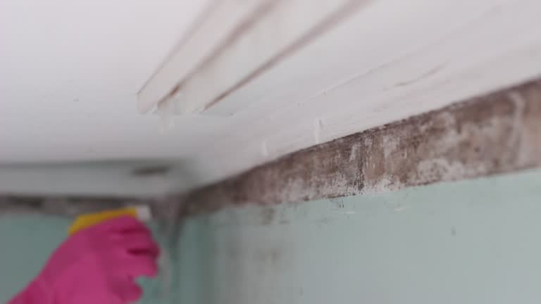 Best Indoor Air Quality Assessment  in Lexington, NC